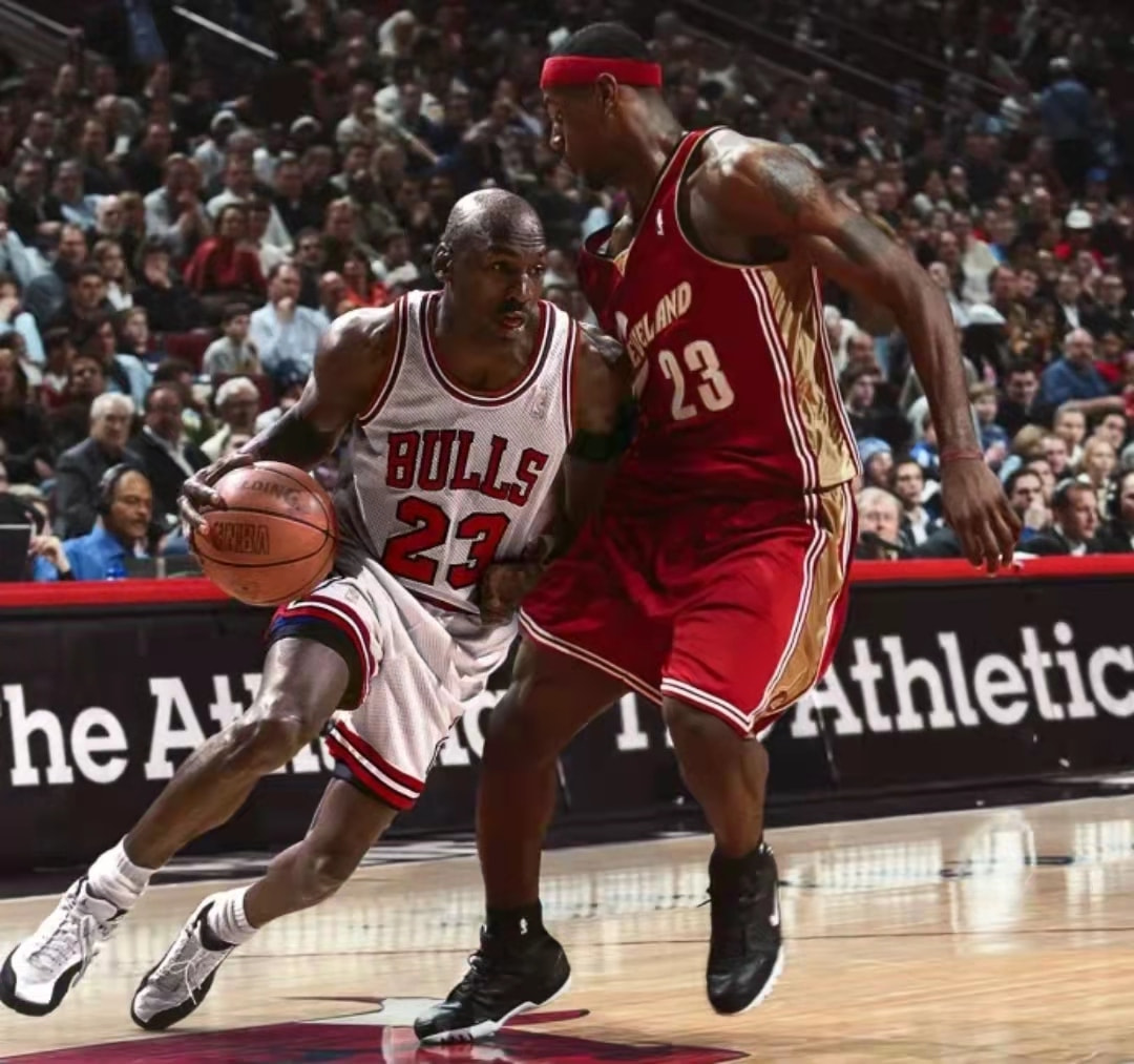 提供参考 提供参考